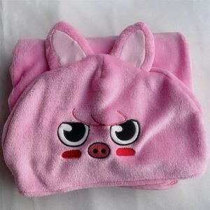 Home stray kids double sided blanket plush warm shawl skzoo cartoon embroidery air conditioned blanket